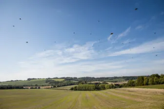 Partridge shoot