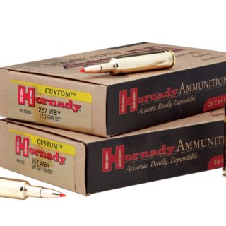 Cartridges & Ammunition