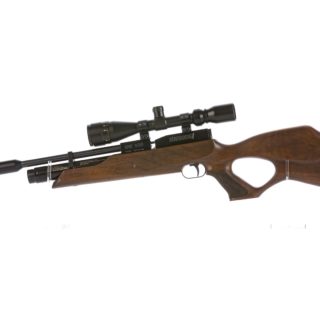 Air Rifle & Rifle